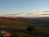 Tn  DSC0024